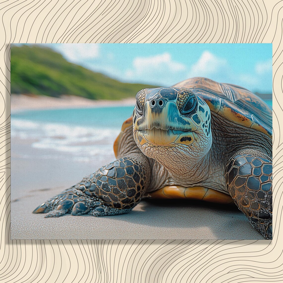 Ecuador Galapagos Wildlife Ocean Landscape Art Print