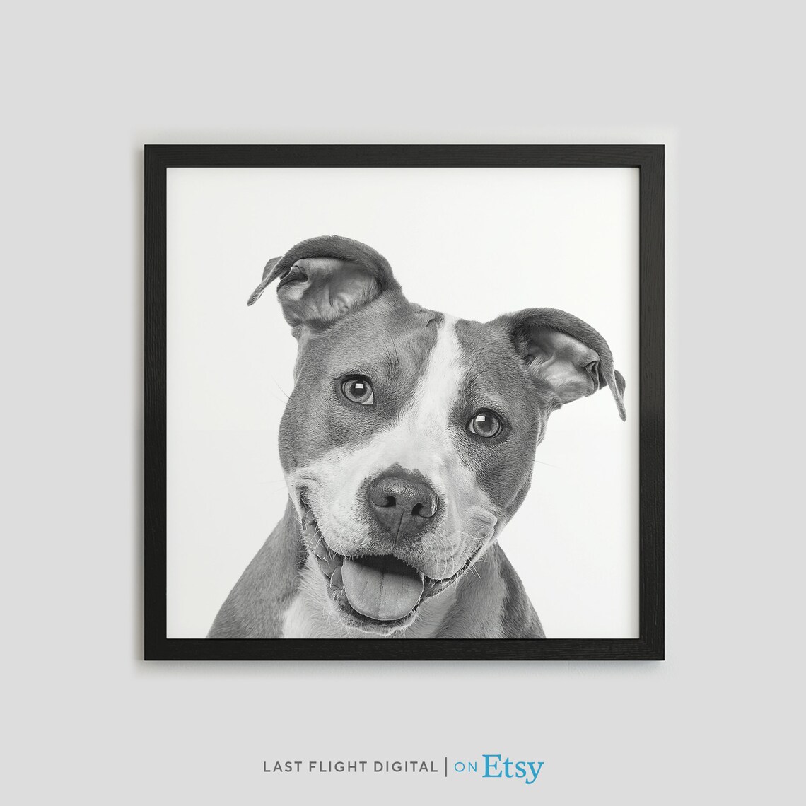 Staffordshire Terrier Dog Poster, Kids Room Art Print