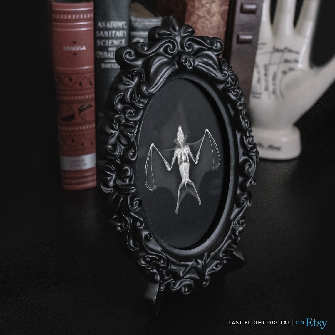Bat X Ray Art Wings Spread Skeleton Black Background Nature Poster - Image 5