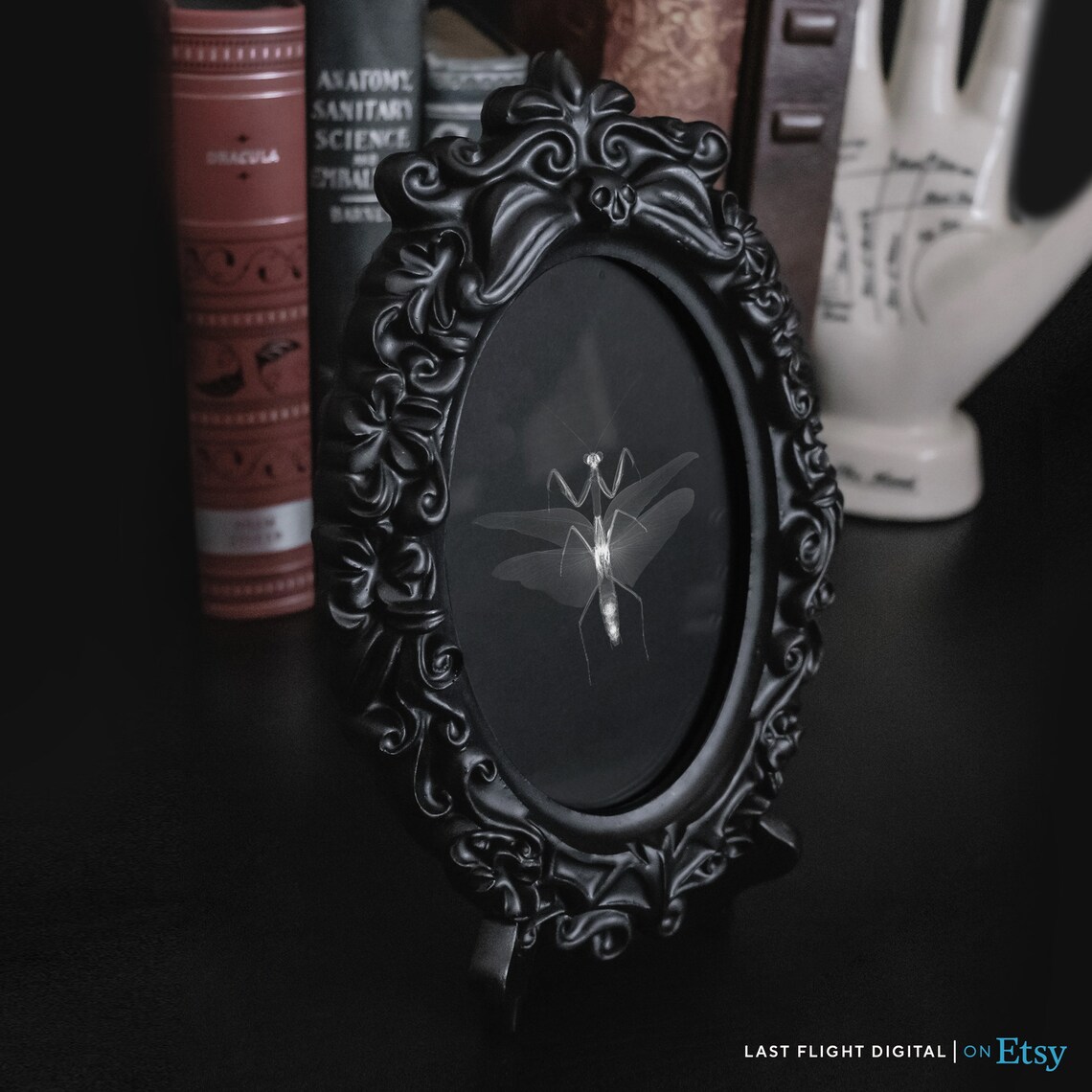 Preying Mantis X-Ray Art Print, Gothic Dark Art - Image 4