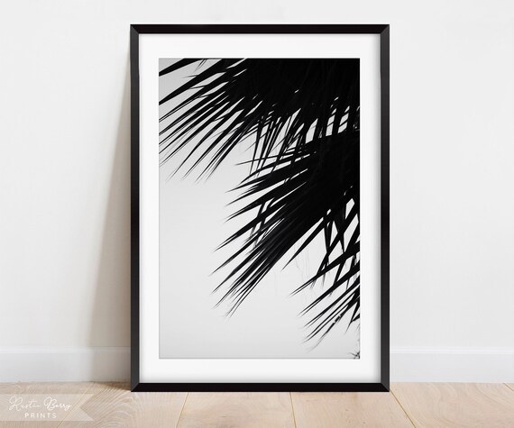 Black And White Palm Fronds Close Up Minimalist Tropical Beach Wall Art Poster