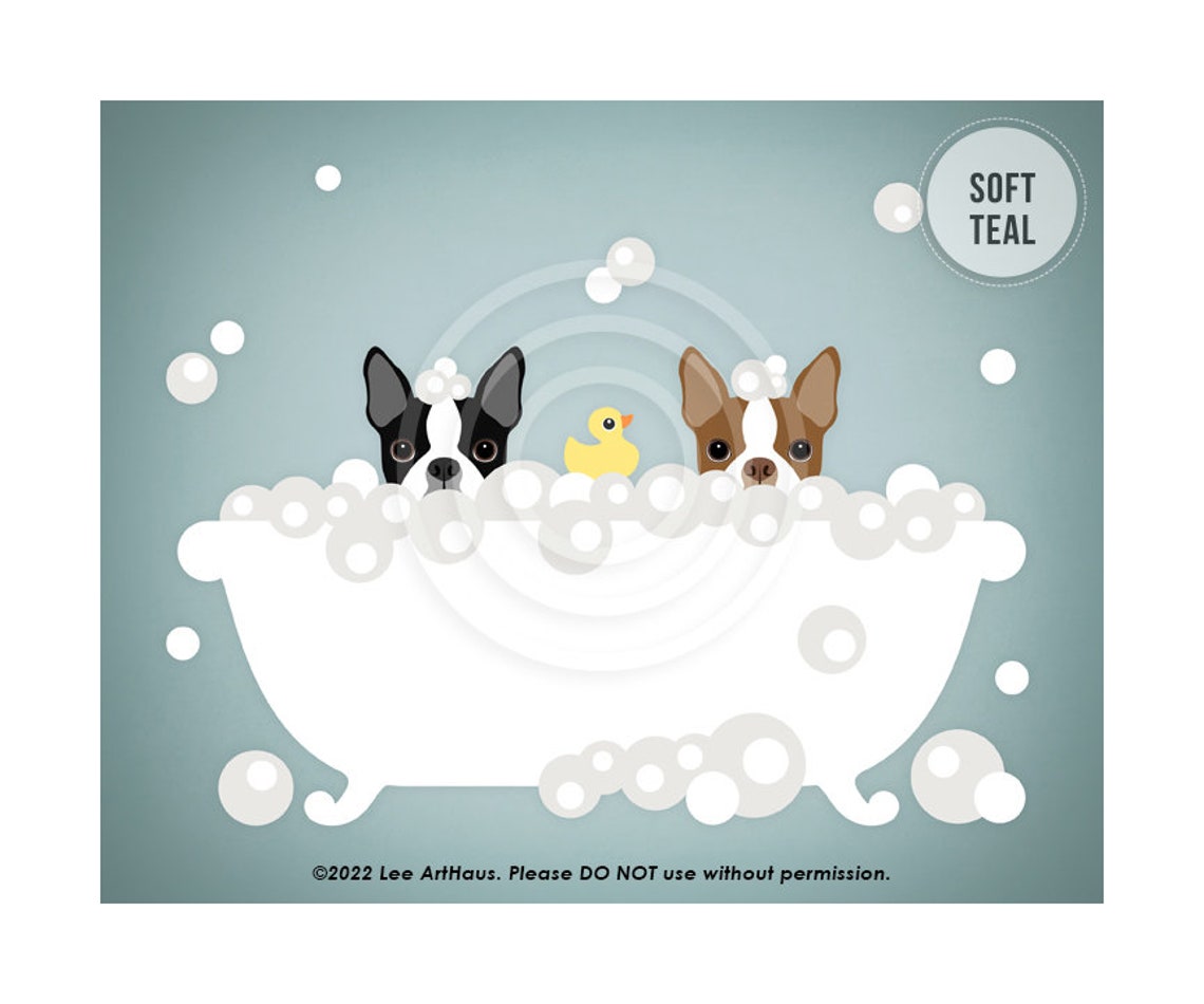 Two Boston Terriers Peeking Bubble Bath Duck Teal Bathroom Dog Poster - Image 4