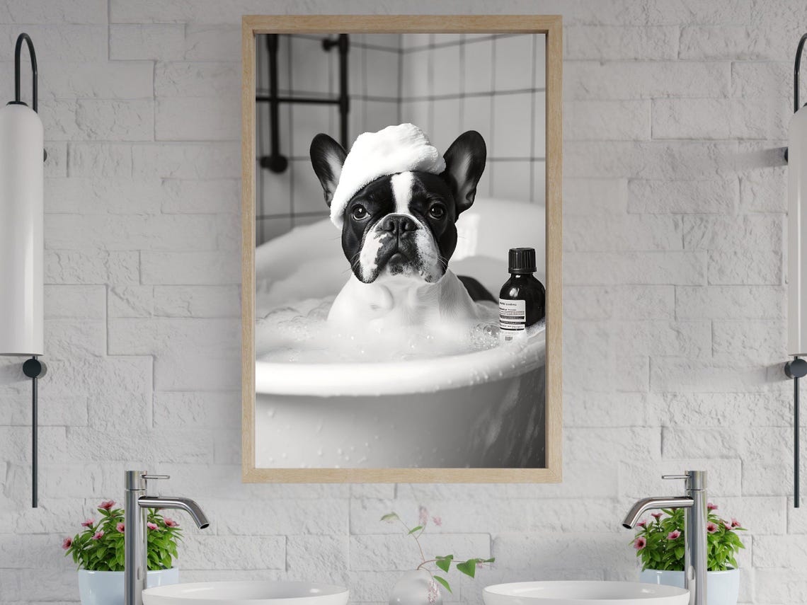 French Bulldog in a Bubble Bath With a Foam Cap on Its Head Poster