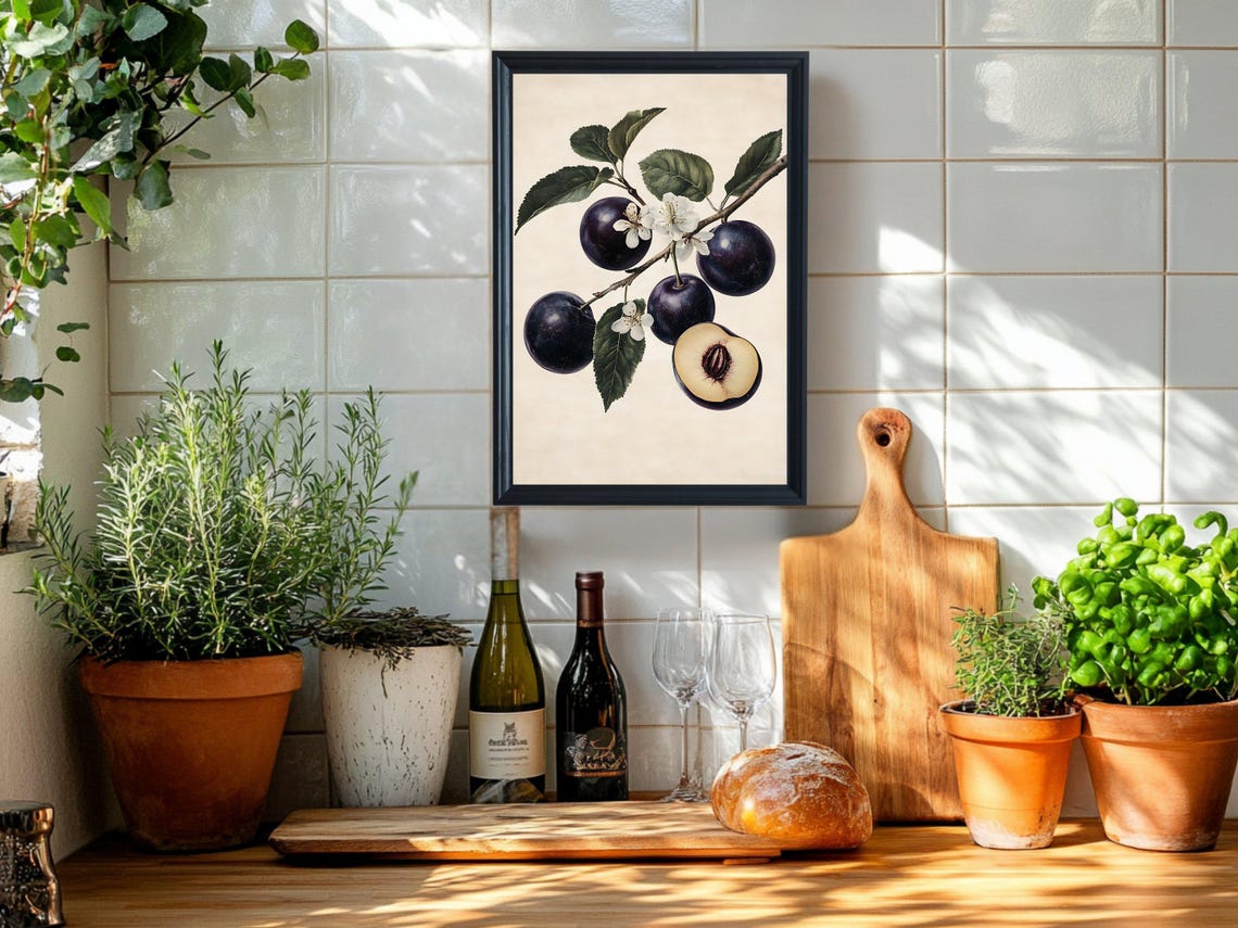 Vintage Plum Branch with Blossoms and Fruit Botanical Kitchen Poster - Image 2