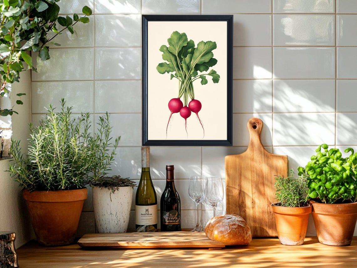 Red Radish Bunch Botanical Vegetable Illustration Kitchen Poster - Image 2