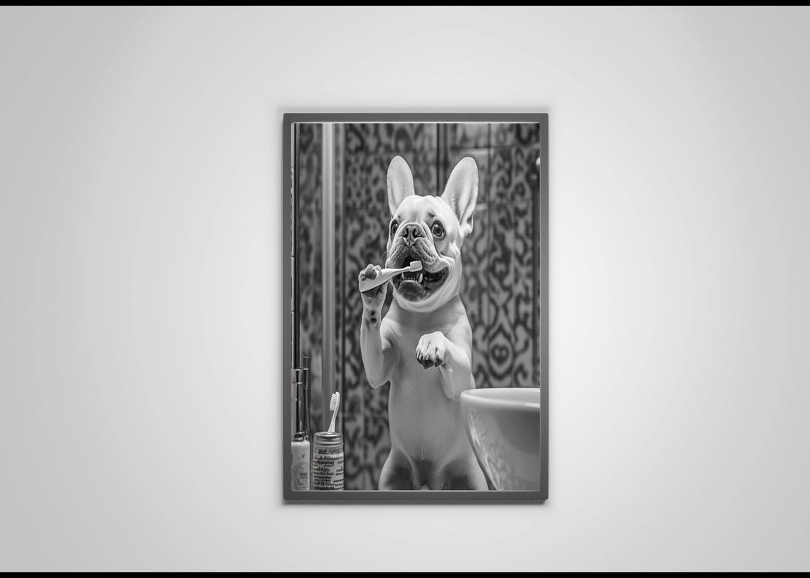 French Bulldog Brushing Teeth In Mirror Black And White Poster