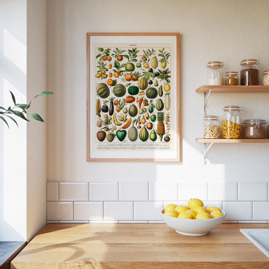 Vintage Fruit Poster Retro Wall Decor Old School Print Fruit Wall Art Encyclopedia Poster Dopamine Decor - Image 3