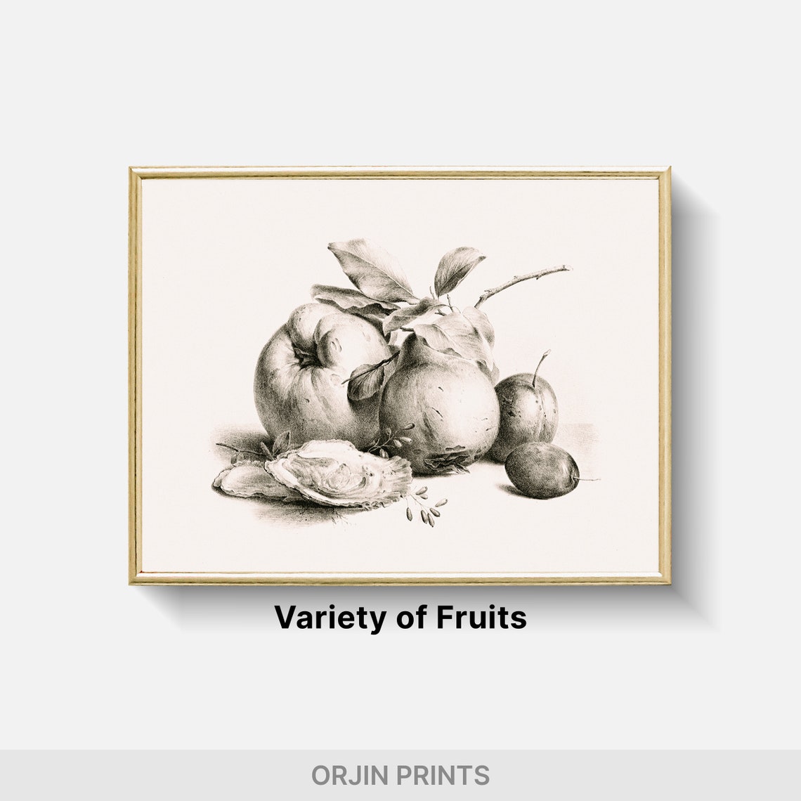 Classic Fruit Still Life Sketch Apples Plums Vintage Drawing Wall Art - Image 2