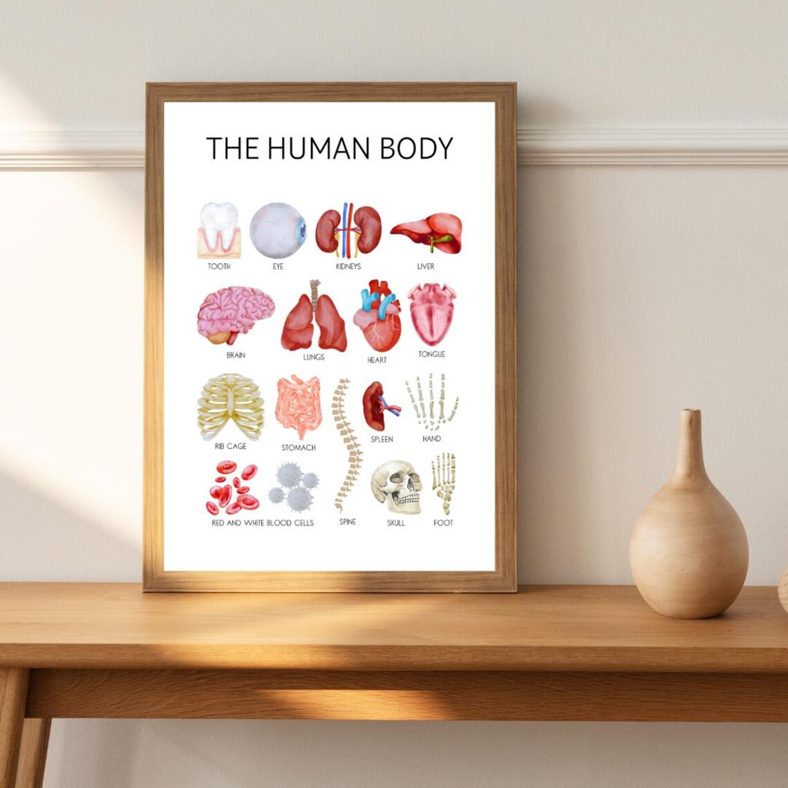 The Human Body Educational Poster with Watercolor Organs for Kids - Image 2