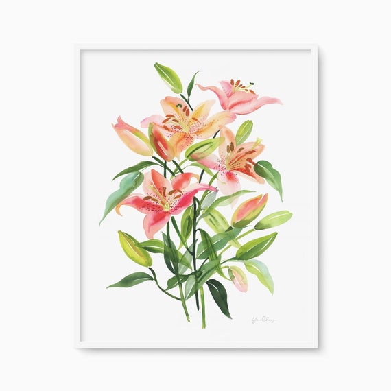 Stargazer Lily Flower Art Print Red And Pink Botanical Watercolor Floral Illustration Wall Cottage Decor Garden