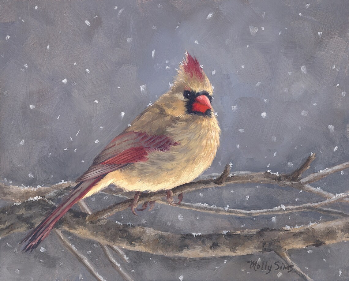 Female Cardinal Bird Giclee Art Print, Songbird
