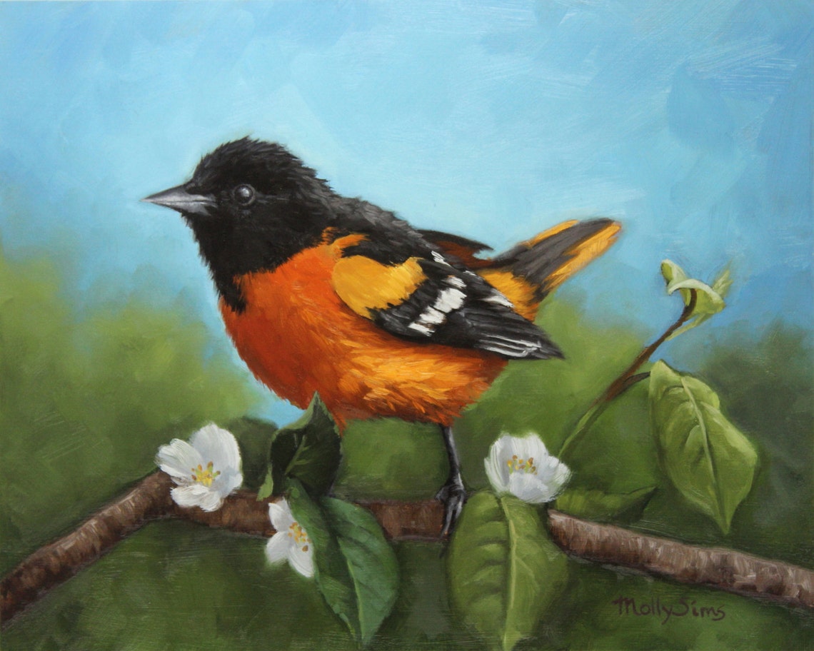 Baltimore Oriole on a Blossoming Branch Oil Painting Bird Poster