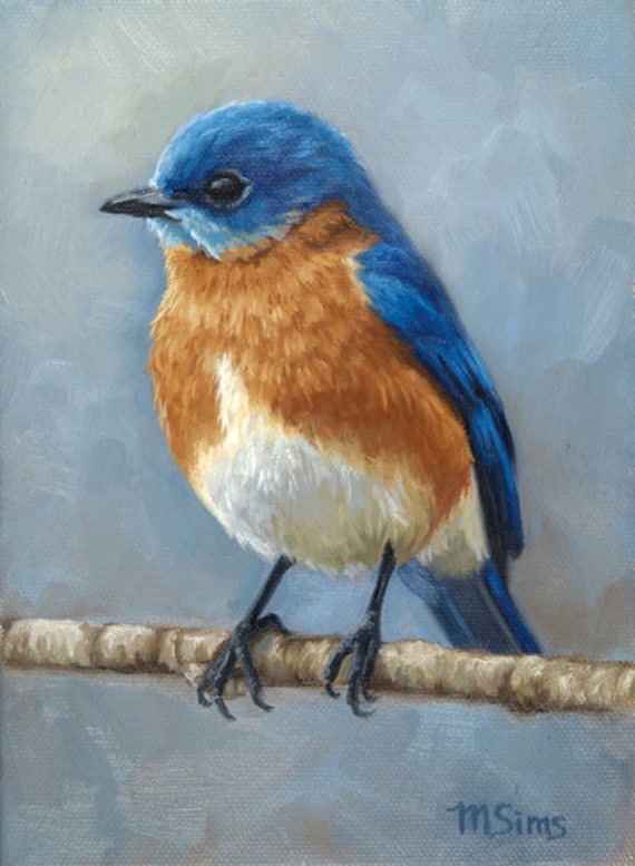 Eastern Bluebird Bird Painting Wall Art Print