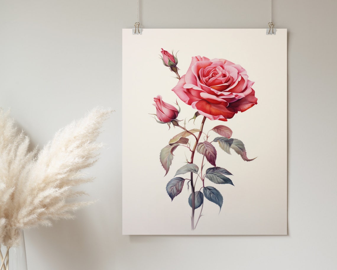 Vintage Pink Rose With Buds Botanical Floral Illustration Poster - Image 2