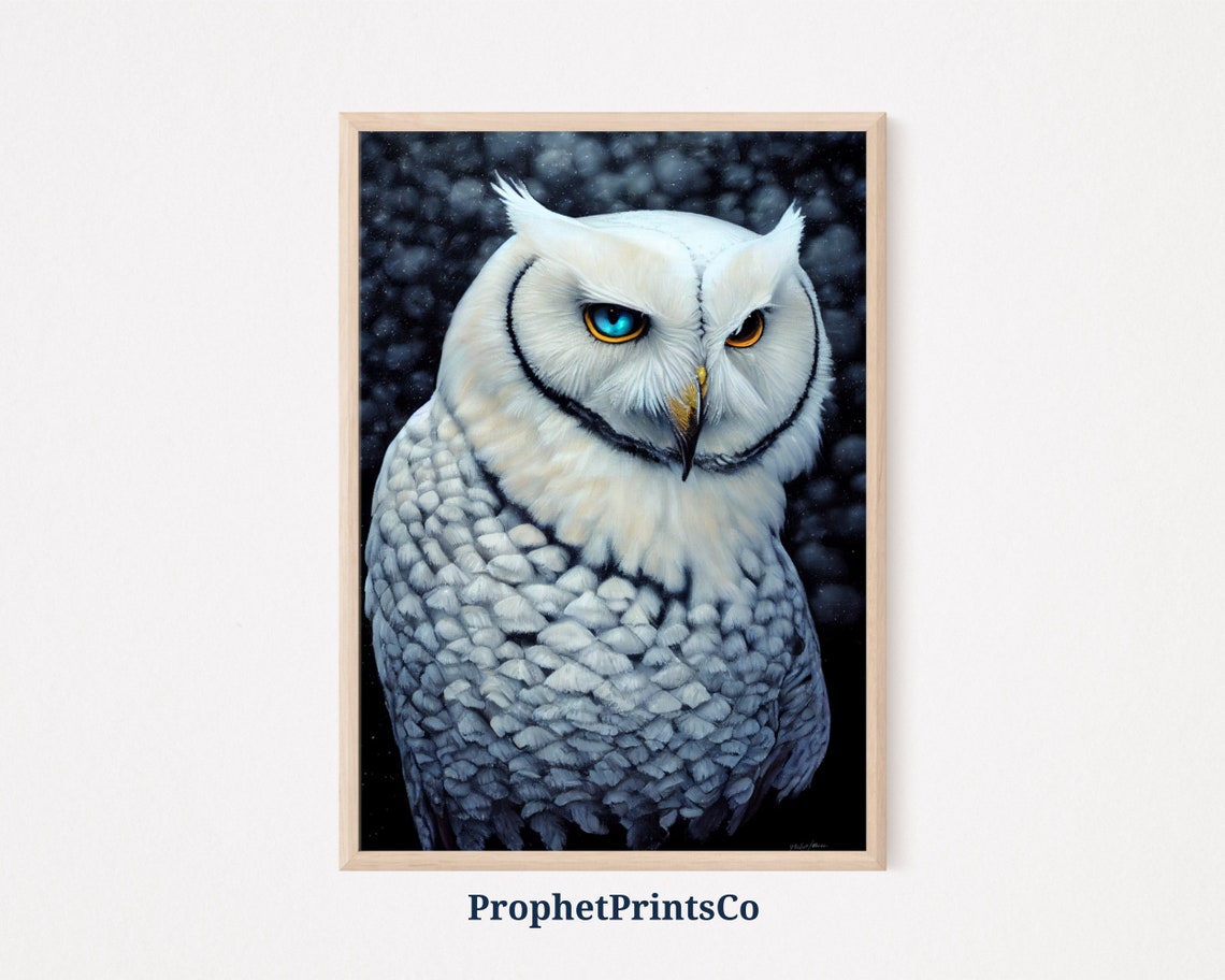 White Owl Close Up Portrait Blue Eyes Dark Dramatic Bird Poster