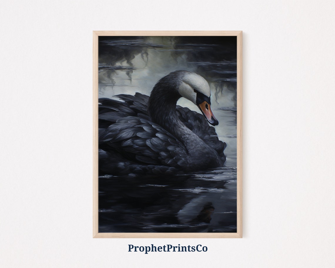 Elegant Black Swan Preening on Misty Dark Water Painting Poster