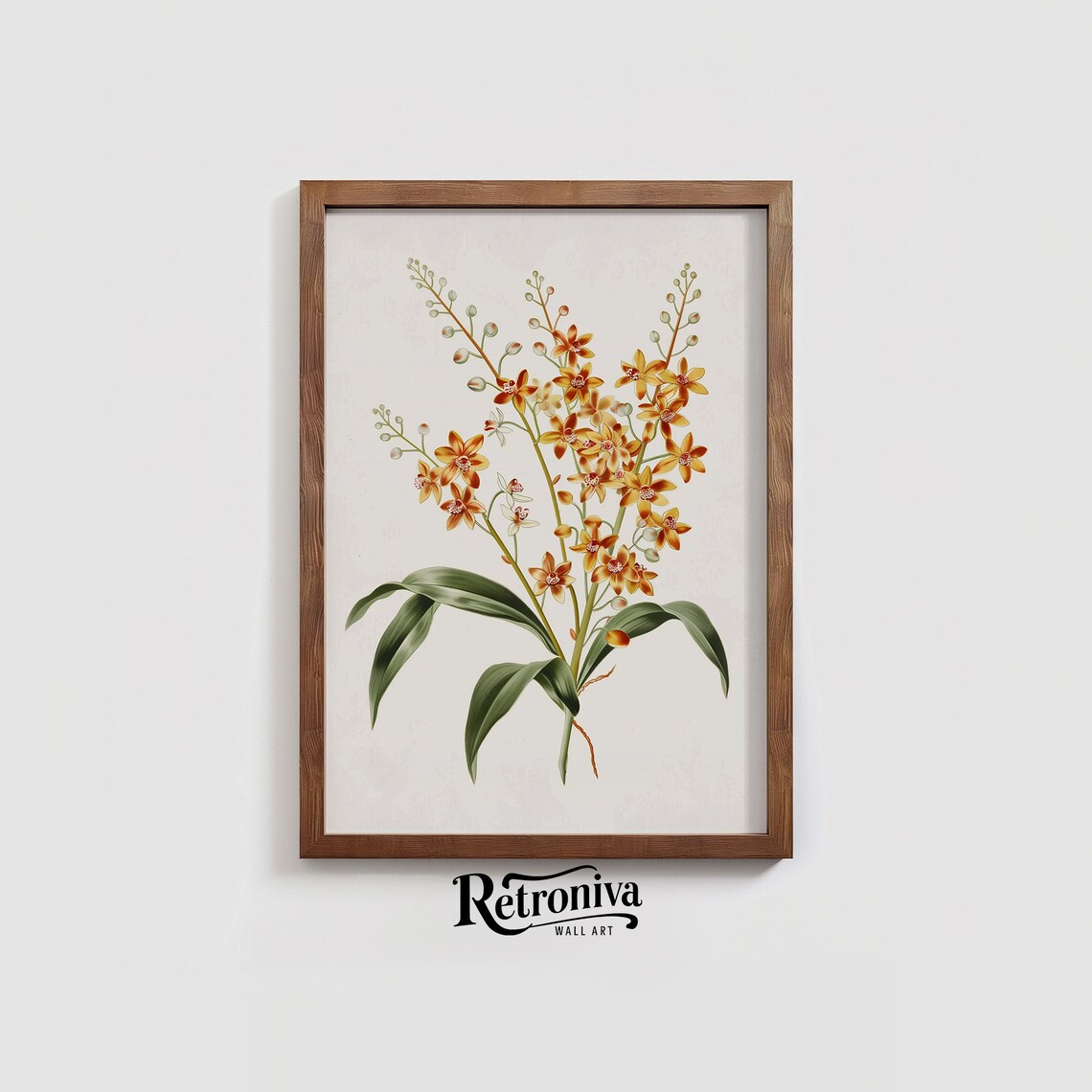 Vintage Orchid Flower Art Print, Minimalist Botanical - Image 3