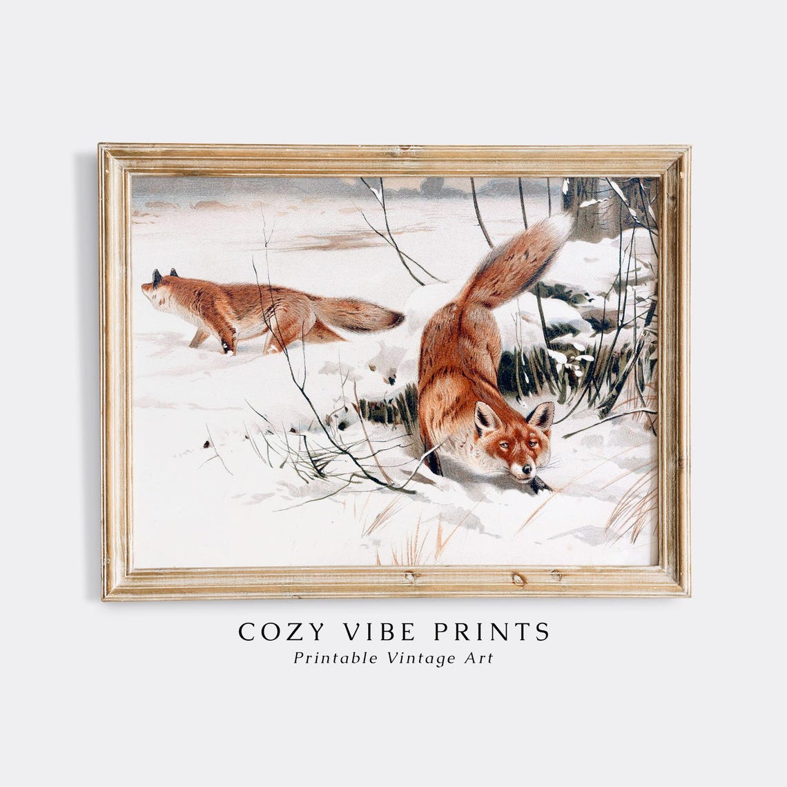 Red Foxes Playing in Snow Vintage Wildlife Winter Animal Poster - Image 4