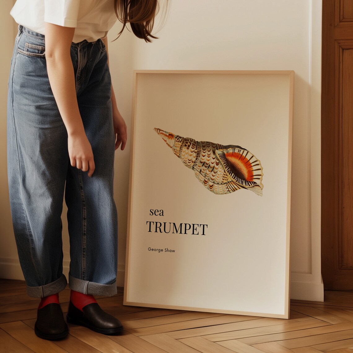 Elegant Sea Trumpet Shell George Shaw Vintage Coastal Wall Art - Image 3