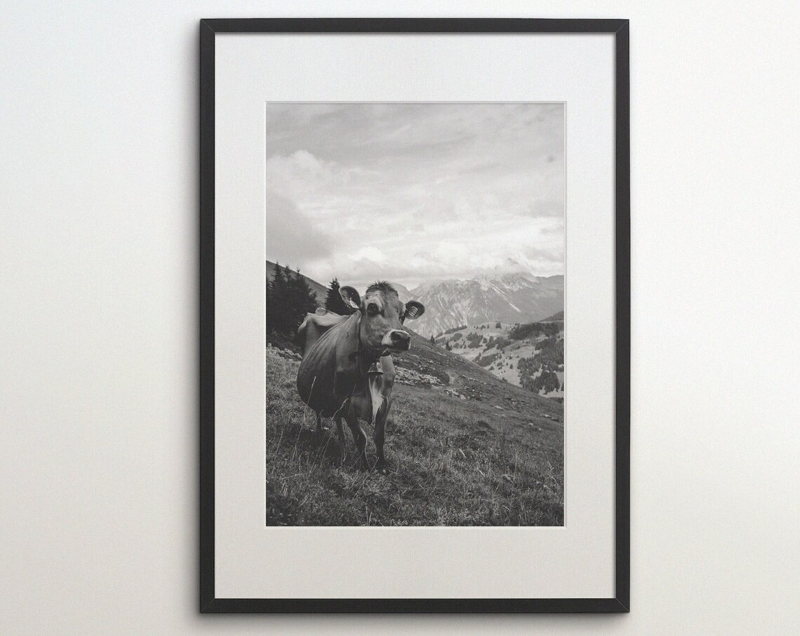 Switzerland Swiss Alps Cow Instant Black White Photography Wall Art Travel Poster Switzerland Art Print Animal
