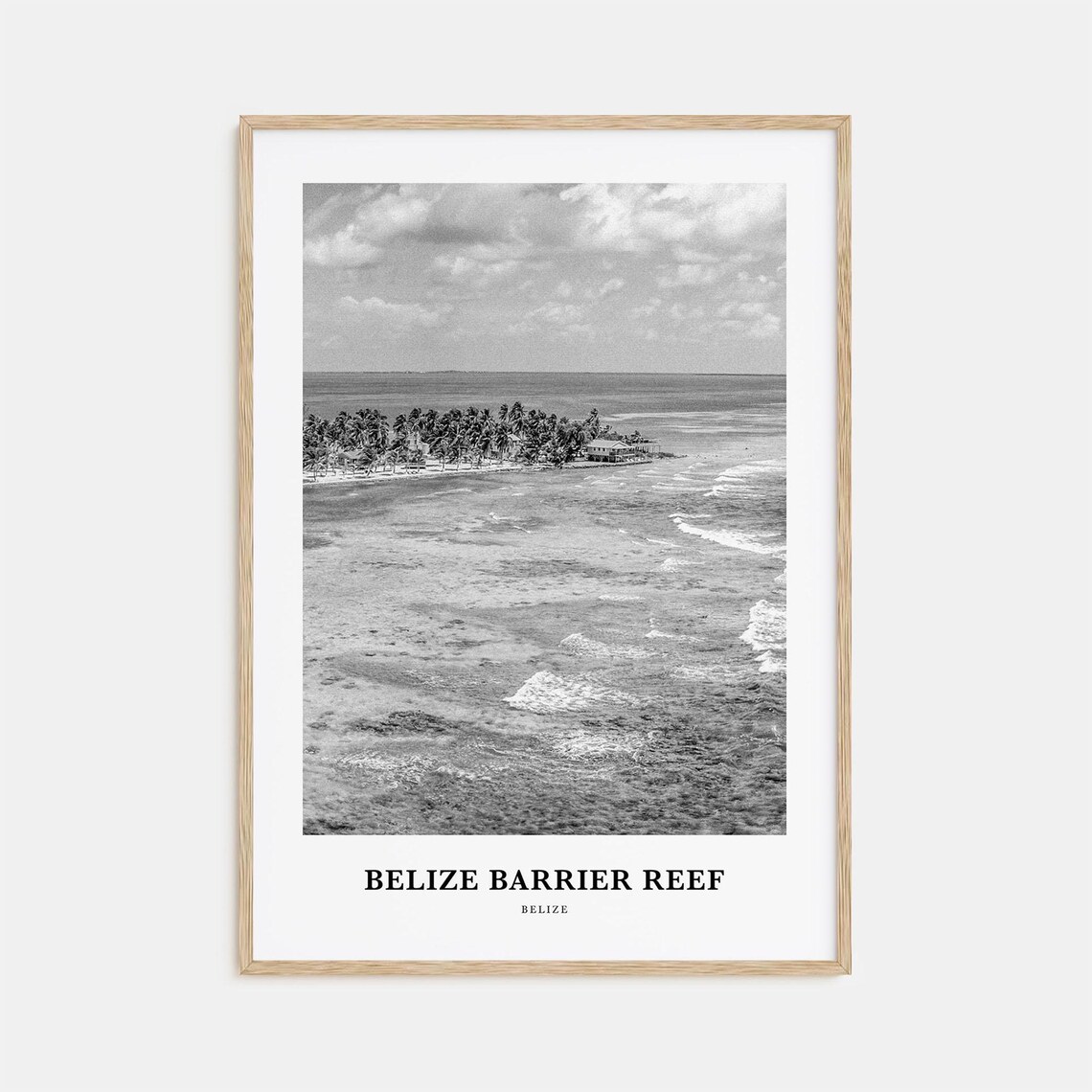 Belize Barrier Reef Aerial Island Palms Ocean Black and White Art Poster