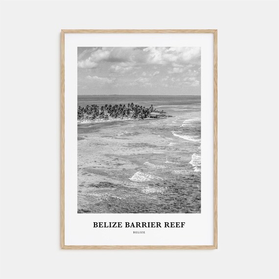 Belize Barrier Reef Aerial Island Palms Ocean Black and White Art Poster