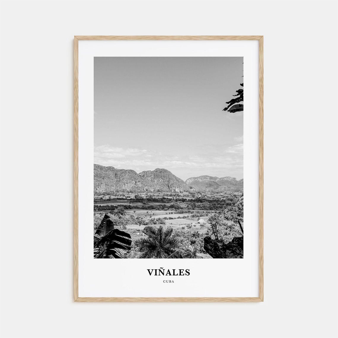 Vinales Cuba Valley With Karst Mogote Hills Black White Poster