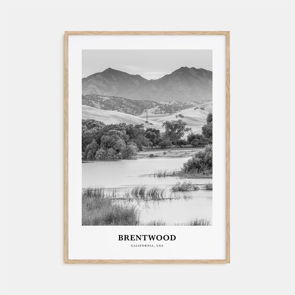 Brentwood California Lake Mountains Wetlands Black and White Poster