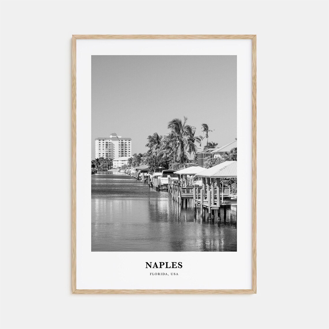 Naples Florida Canal Waterfront Homes Palms Black White Travel Poster