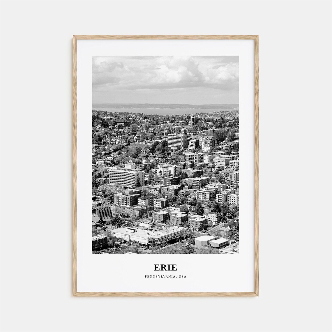 Erie Pennsylvania Aerial City View Black and White Travel Poster