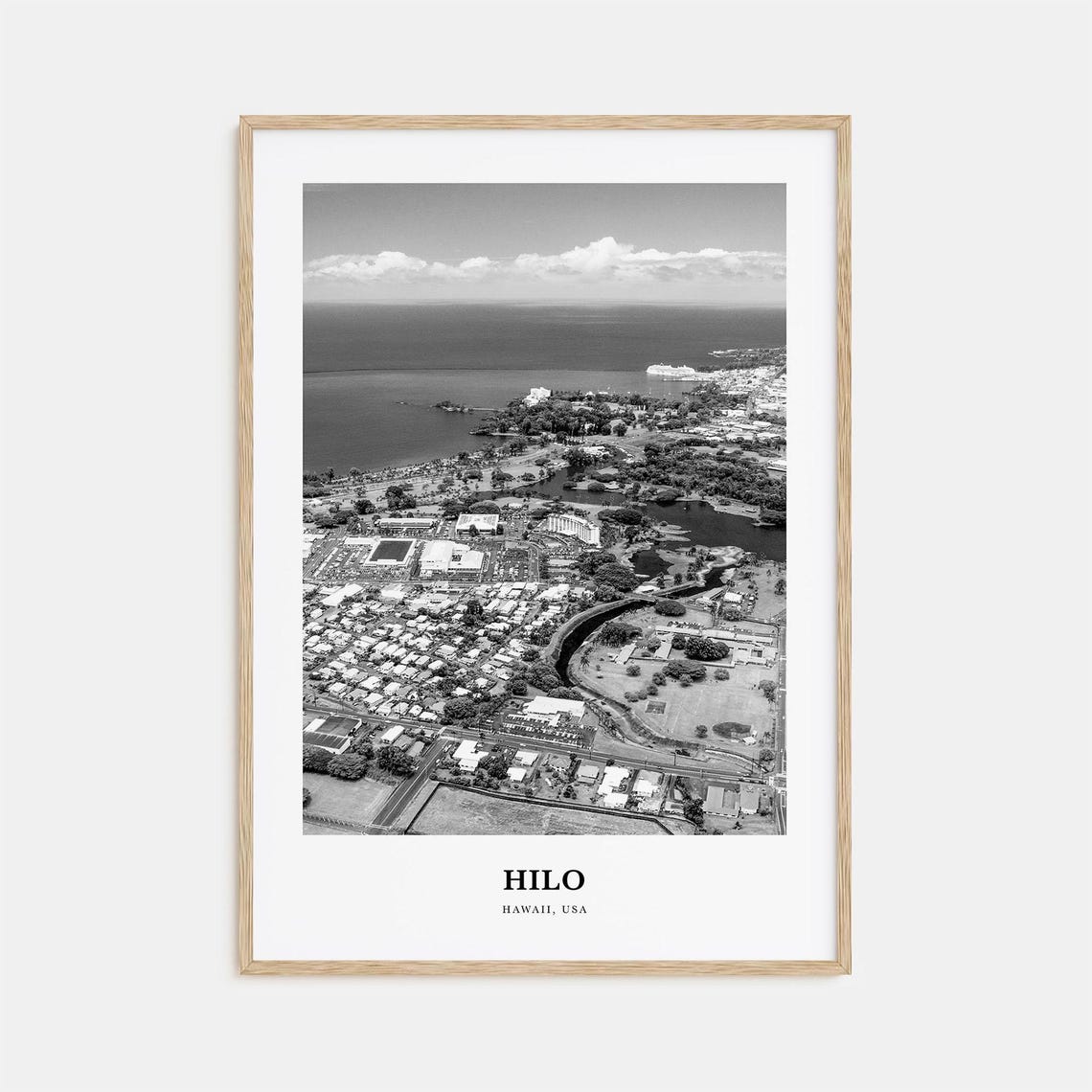 Hilo Hawaii Aerial Coastline Bay Black and White Travel Poster