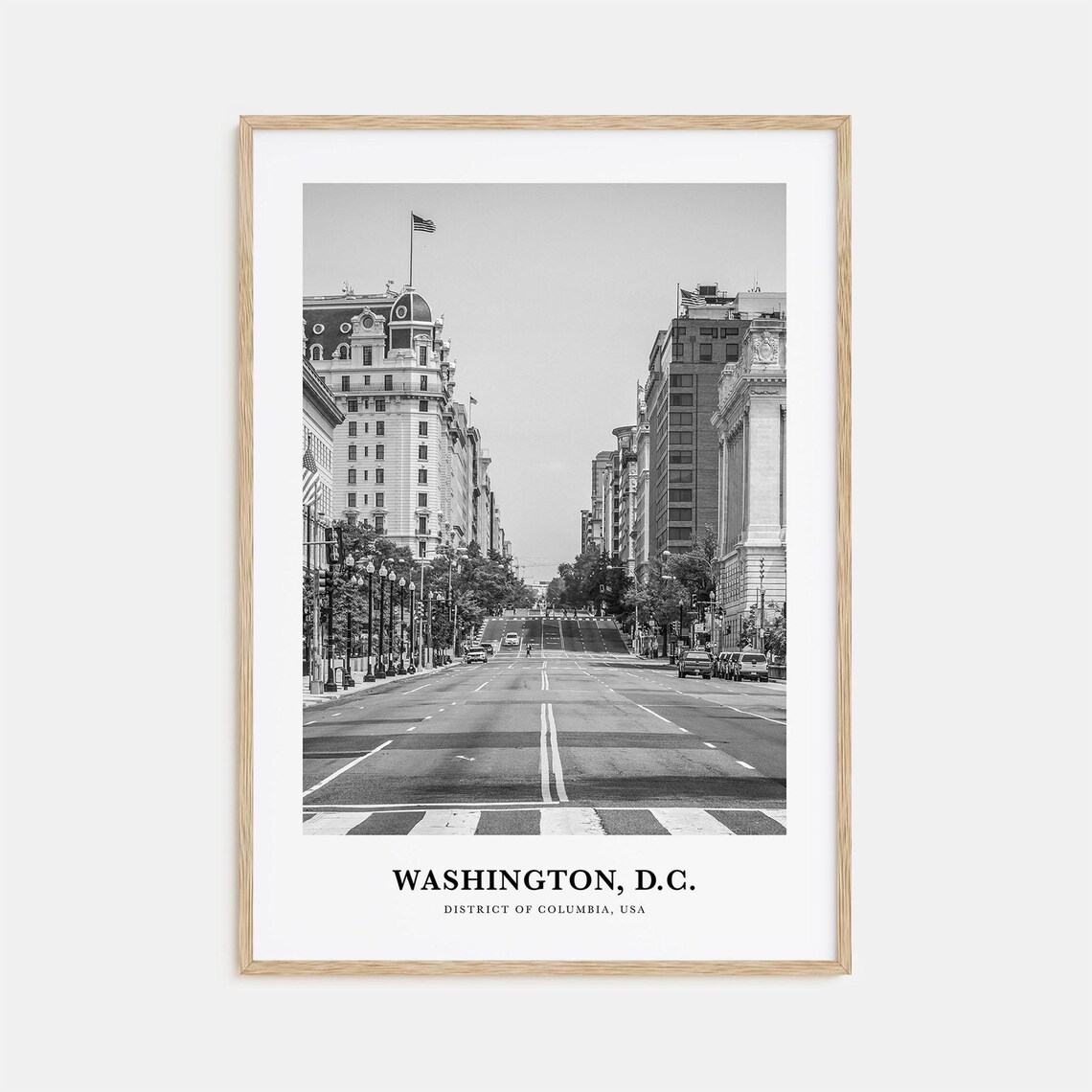 Washington DC Historic Avenue With American Flags Black White Poster