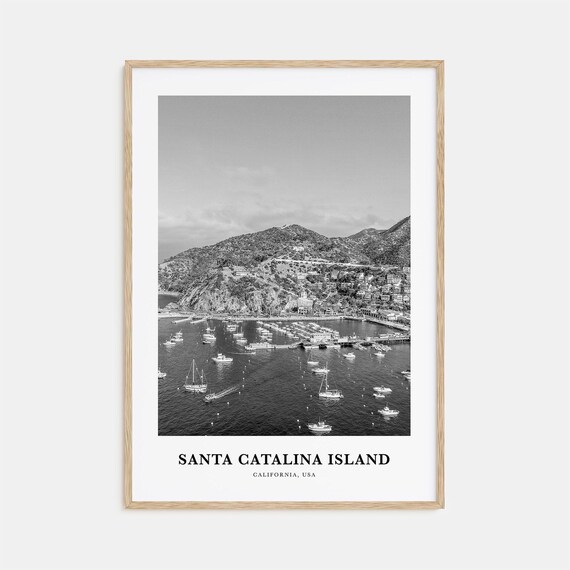 Santa Catalina Island California Aerial Harbor Black White Poster