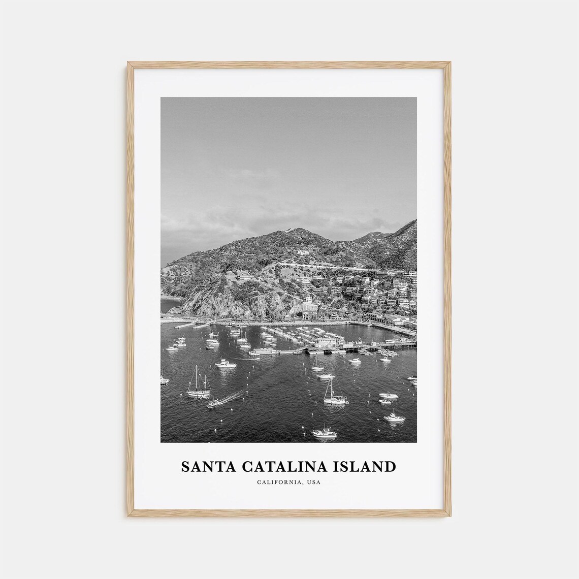 Santa Catalina Island California Aerial Harbor Black White Poster