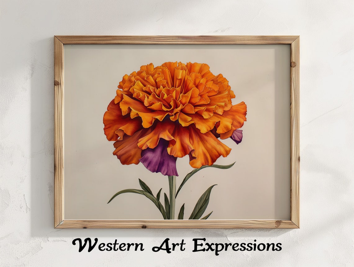 Orange Marigold Flower Botanical Watercolor Illustration Poster