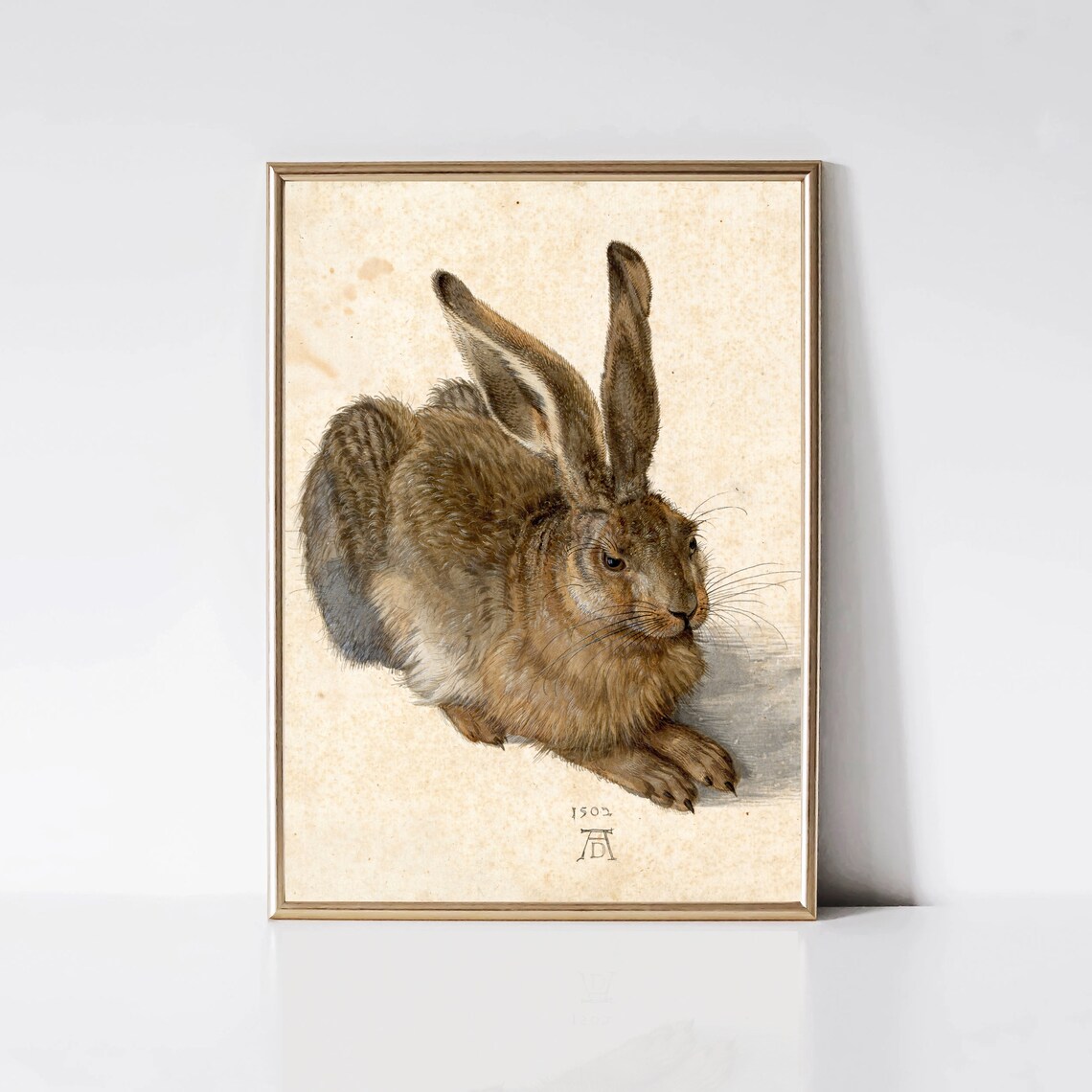Young Hare By Albrecht Durer Vintage Rabbit Art Print