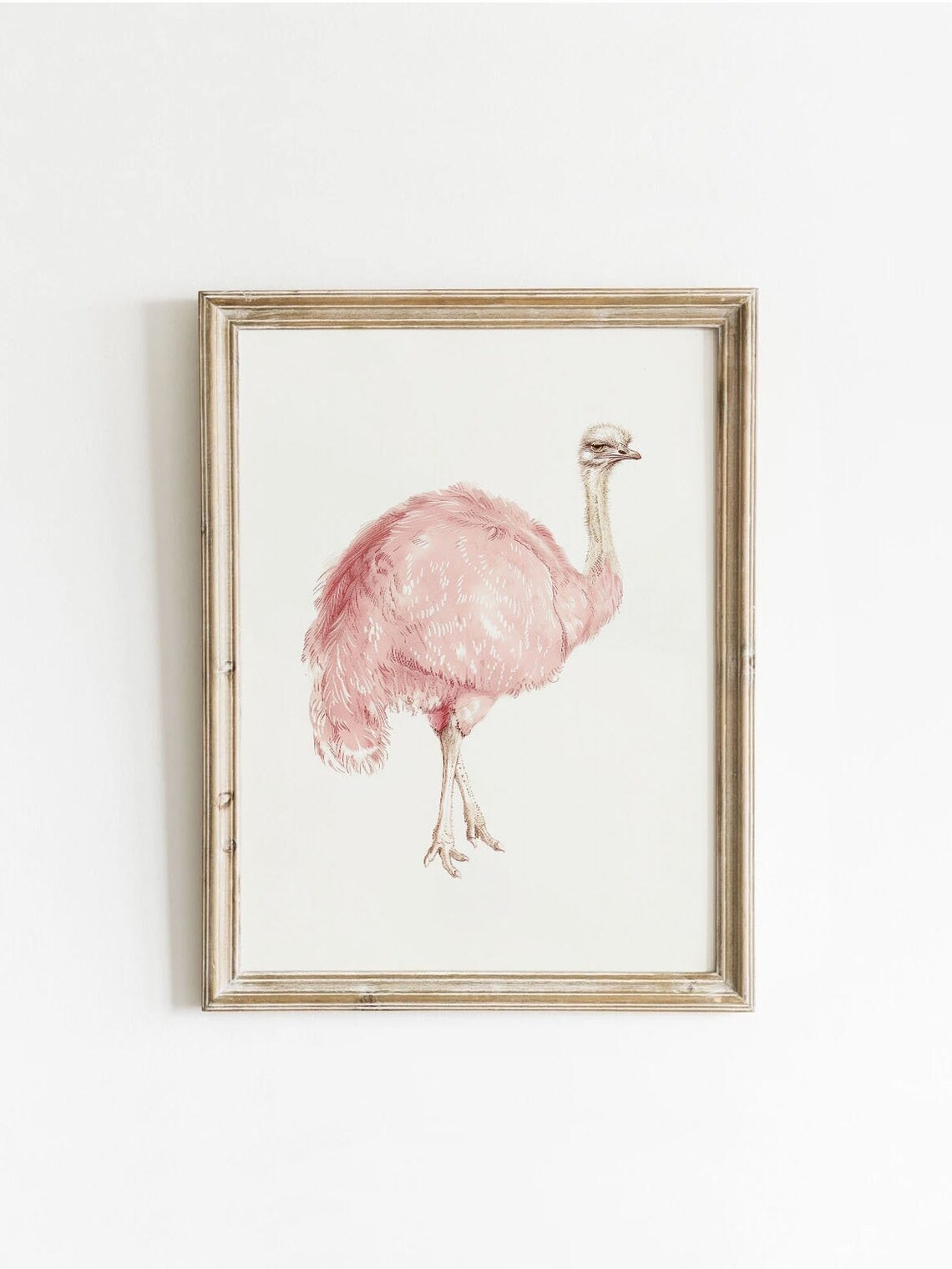 Retro Pink Ostrich Preppy Vintage Art Print