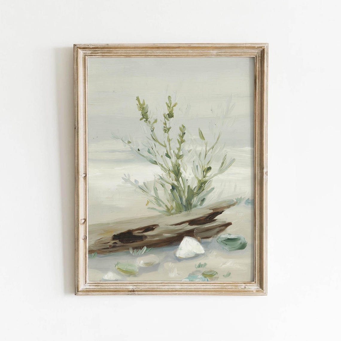 Coastal Green Plant On Driftwood Muted Seashore Botanical Wall Art