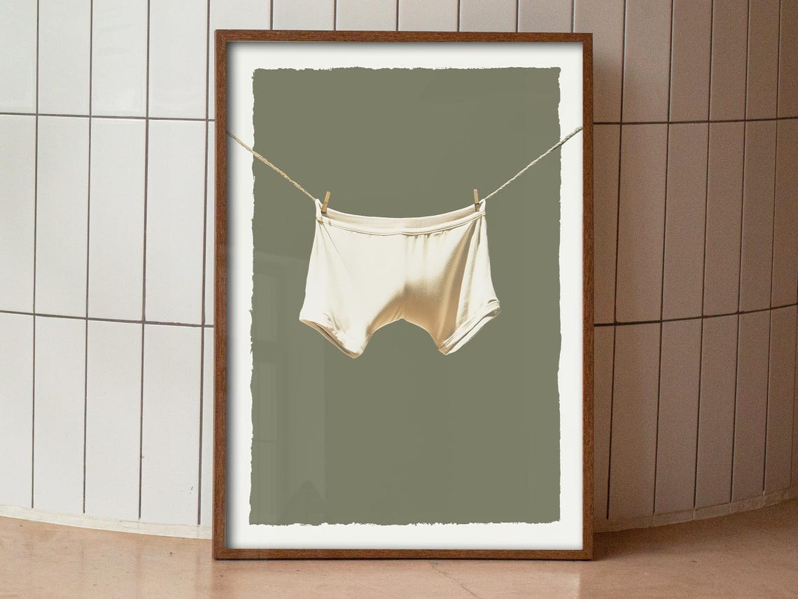 White Briefs On Clothesline Minimal Laundry Funny Art Poster - Image 4