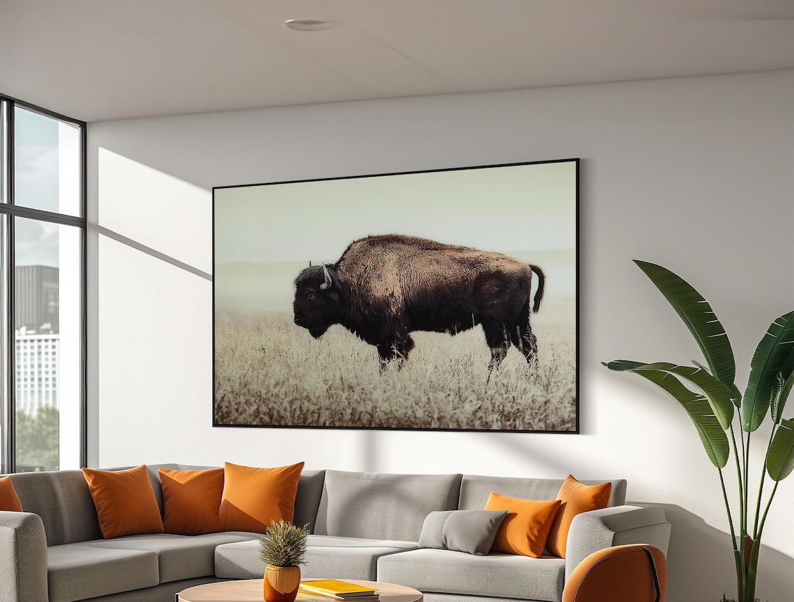 American Bison Standing In Prairie Grass Western Wildlife Poster