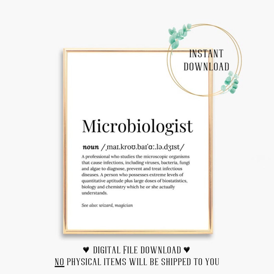 Microbiologist Definition Dictionary Serif Funny Wizard Poster Gift