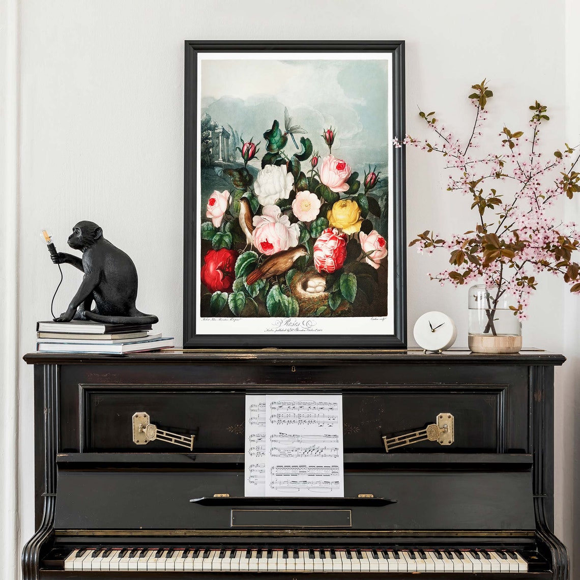 Robert John Thornton Roses From Temple Of Flora Botanical Poster - Image 3
