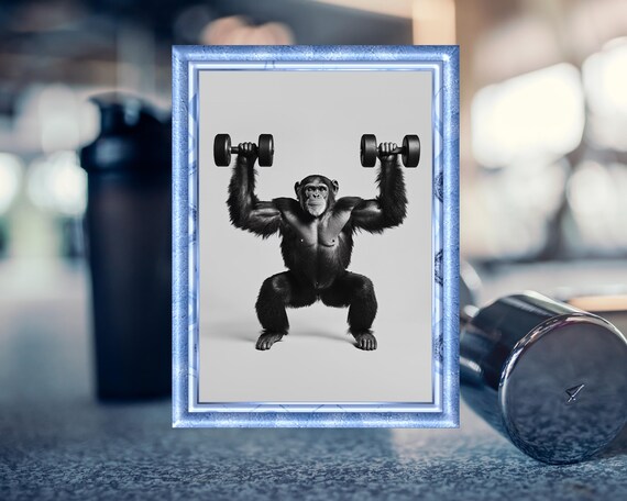 Funny Fitness Poster Chimpanzee With Dumbbells Humorous Animal Art Gift For Fitness Enthusiasts Animal Illustration
