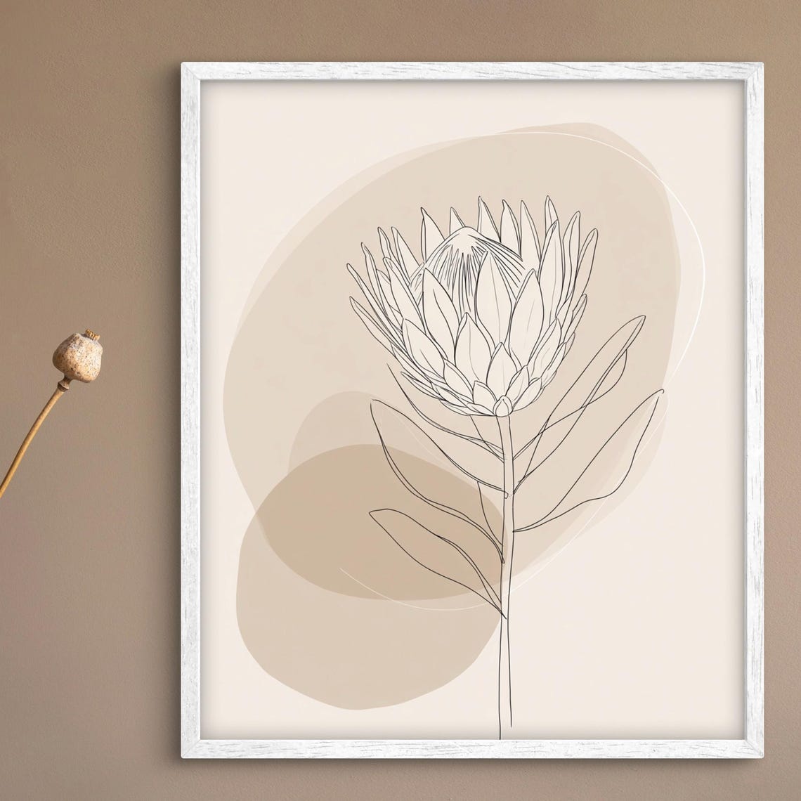 Minimalist Protea Flower Line Art Neutral Botanical Art Poster