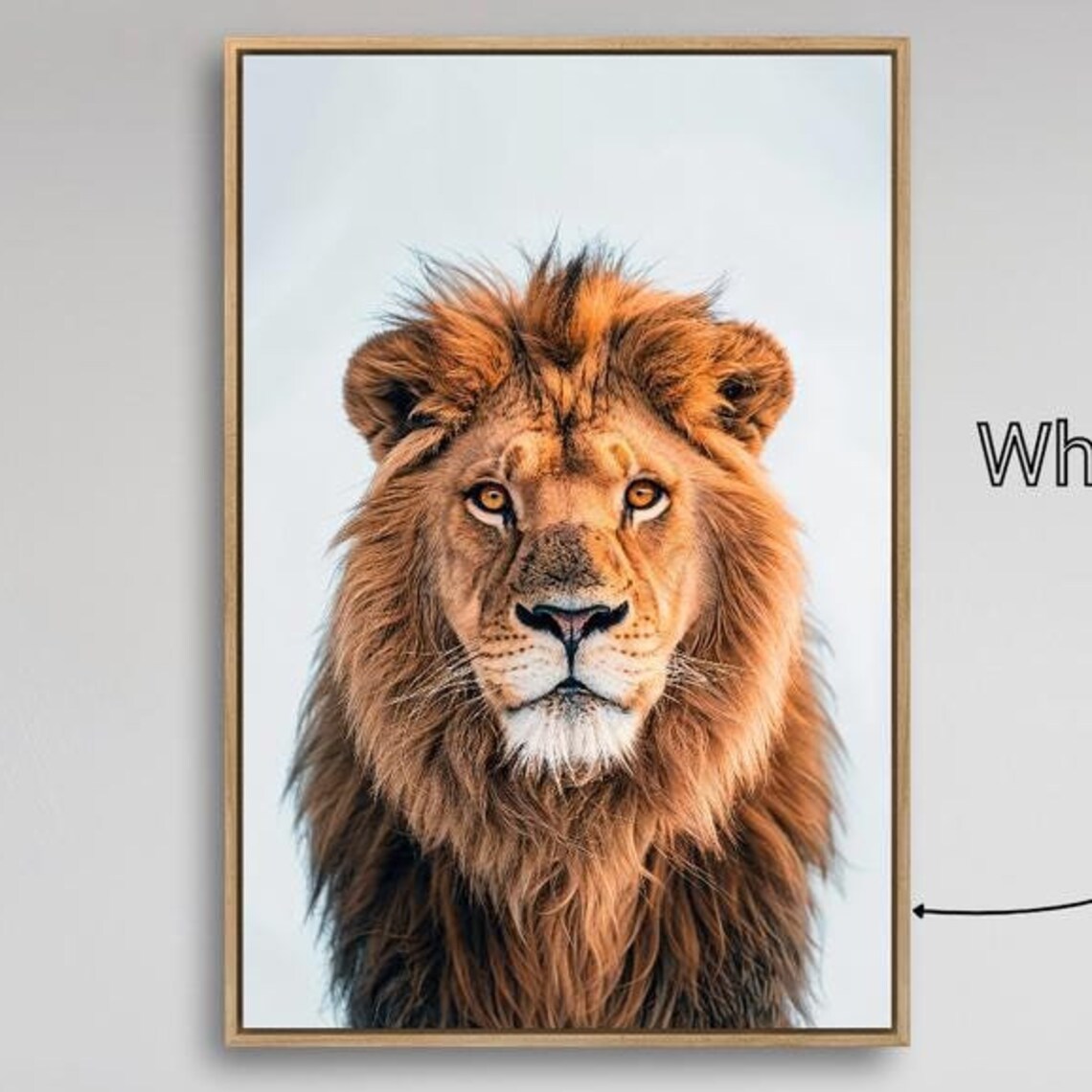 Majestic Lion Portrait Full Mane Wildlife Photography Safari Art Poster