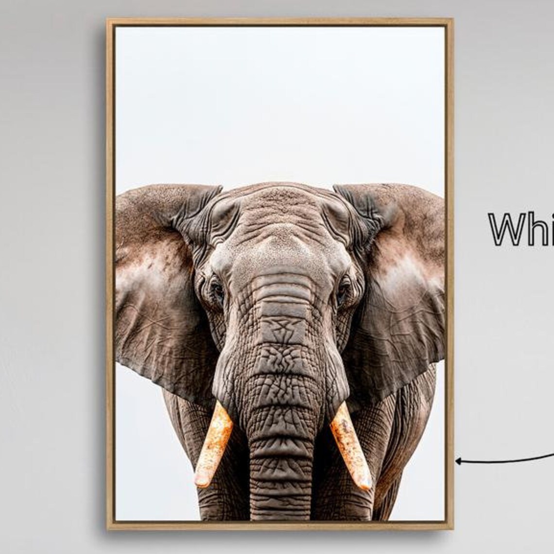 African Elephant Close Up Portrait Tusks Wildlife Photography Poster
