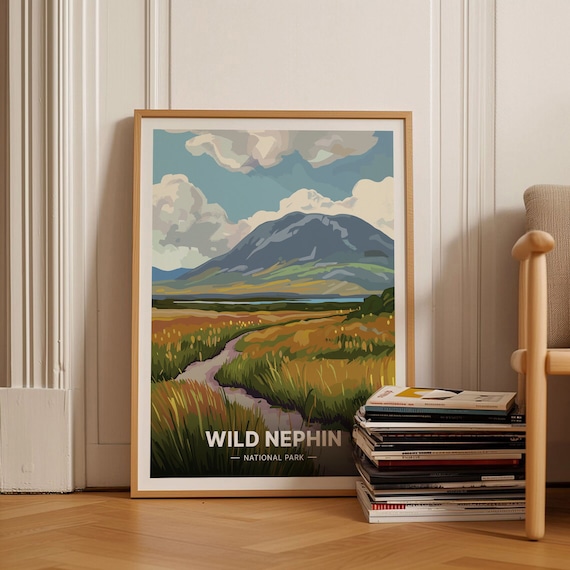 Wild Nephin National Park Ireland Bog Trail Mountain Travel Poster