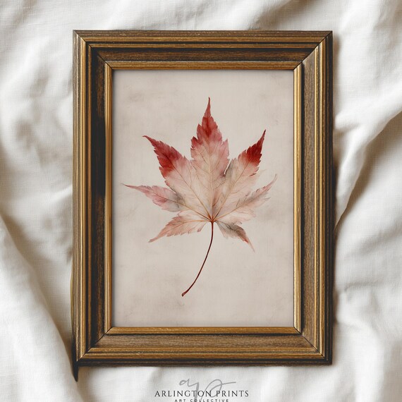 Vintage Style Maple Leaf Print Rustic Autumn Botanical Wall Art Minimalist Nature Home Decor Neutral Fall Tree Drawing