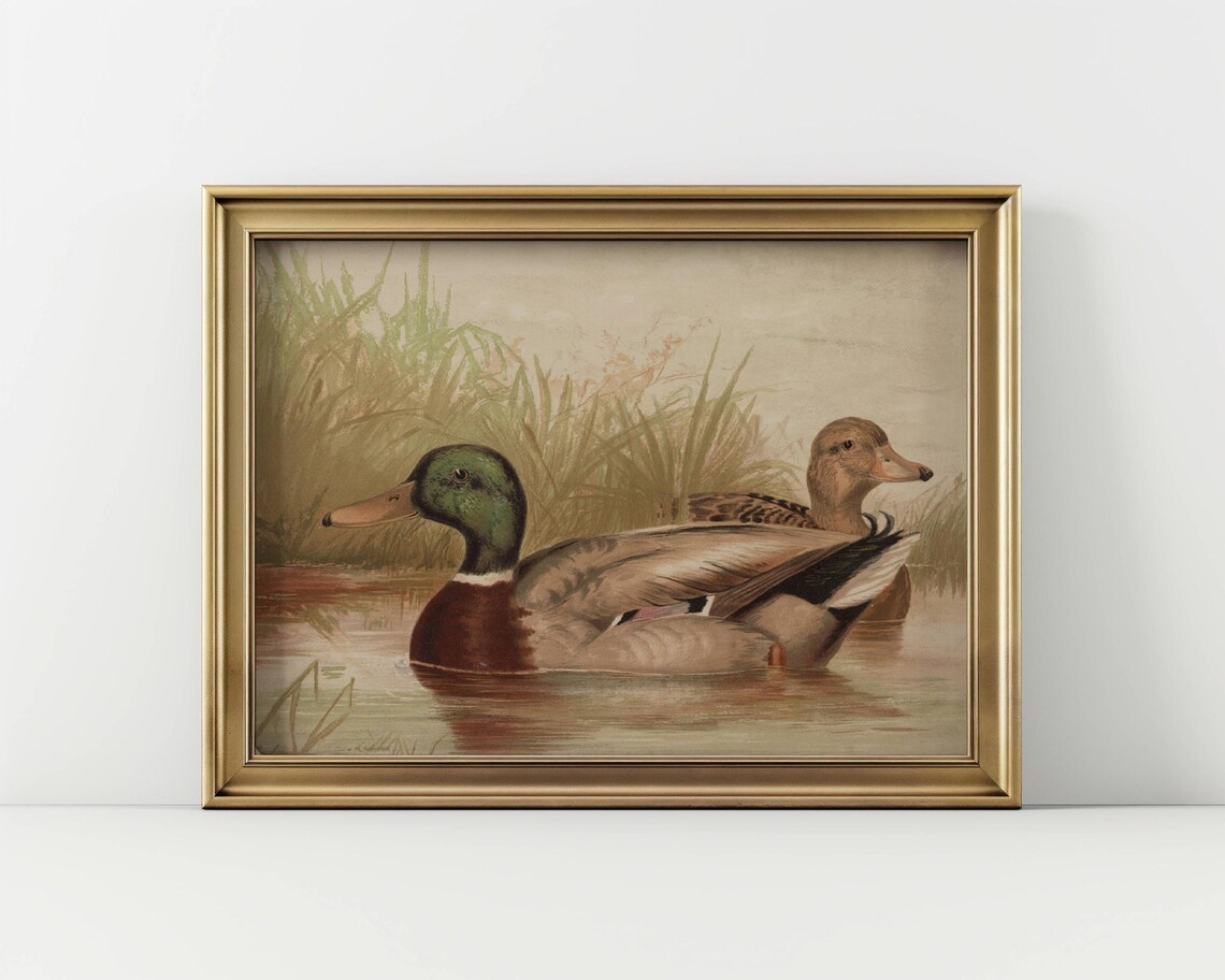 Vintage Mallard Duck Art Print, Farmhouse Decor