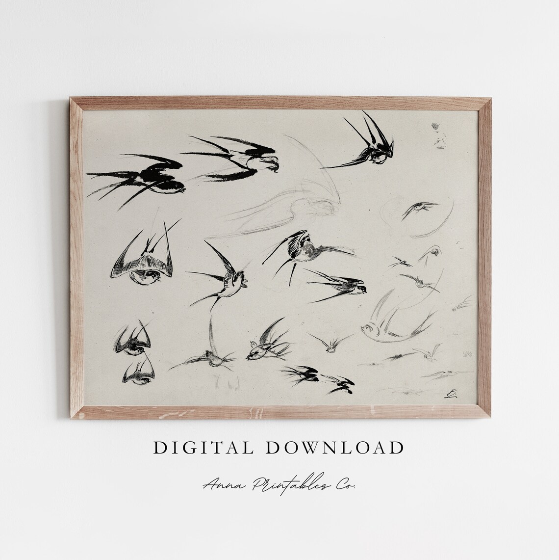 Bird Study Antique Bird Sketch Art Print, Vintage